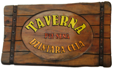 Partner logo